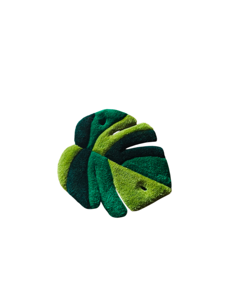 1000022664 (4) (1)
